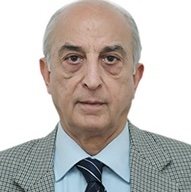 V.K. Shunglu